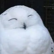ゆぽぽ