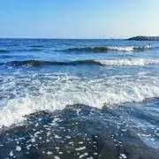たっちの画像