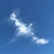 ラッキーイソハルの画像