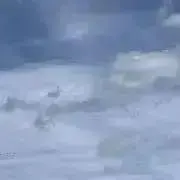 ド※週末値下げ中の画像