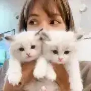 aiai⭐︎6/28〜7/3発送お休みの画像