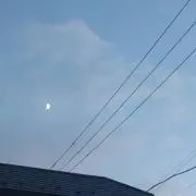 ぷりんの画像
