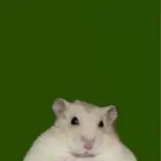 ワ