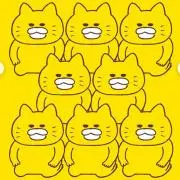 ノラネコの画像