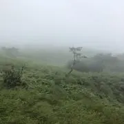 ぶーんの画像