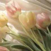 ＊meii0524＊の画像