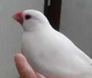 りゅみの画像