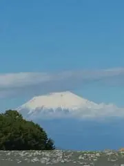 ひまりの画像