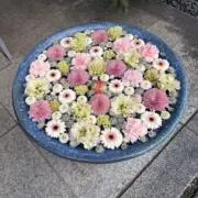 つむぎの画像