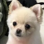 しゅーや