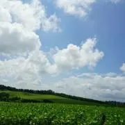 和民☆プロフィールご一読お願いします☆の画像