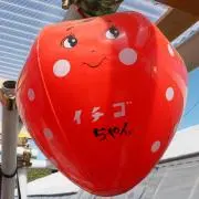 カスタードの画像