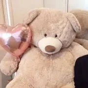 いろはの画像