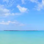 AYAの画像