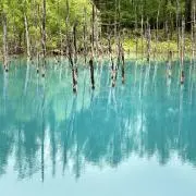AM