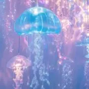 · • • • ✤ • • • ·の画像