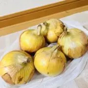 たまねぎ