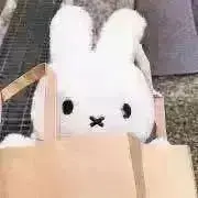 とまこめ こども用品売り切りたいの画像