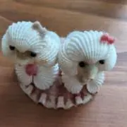 そらち