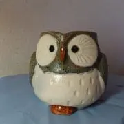 ウサギ年ですの画像