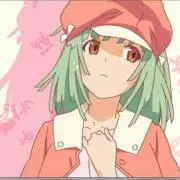 アヤメの画像