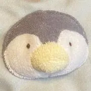 はーちゃんの画像