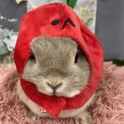 みっちょん