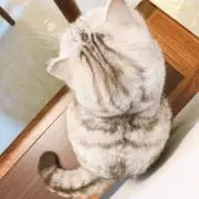 歌の画像