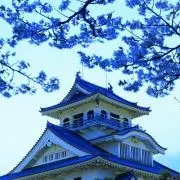 こっぱみじんこ