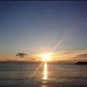 緑のつなぎ