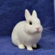 yomi✳︎お値下げ交渉OKの画像