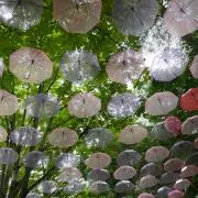nineの画像
