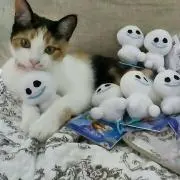 はるっち☆彡