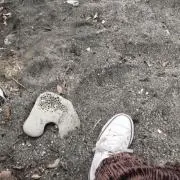 あきらの画像