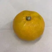 のりの画像