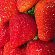 いちごん