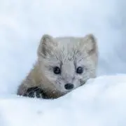 Yukaの画像