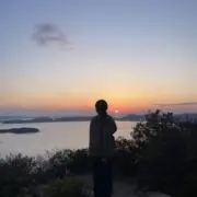 nの画像