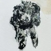 ホワイトアスパラの画像