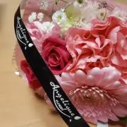 Forest *の画像