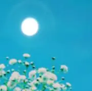 mariの画像