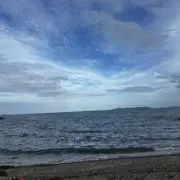のの（7月6〜10日配送できません）の画像