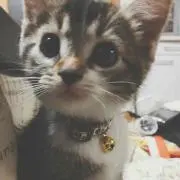 あーちゃん