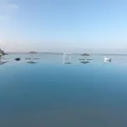 理緒の画像