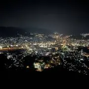ぬこの画像