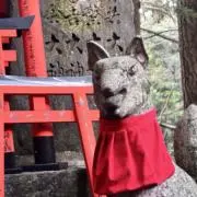 しばゆー