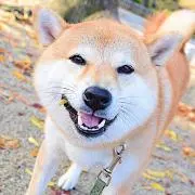 miko