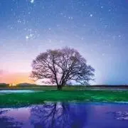 SKYの画像