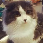 ☆コタロウ☆の画像