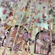 めありの画像